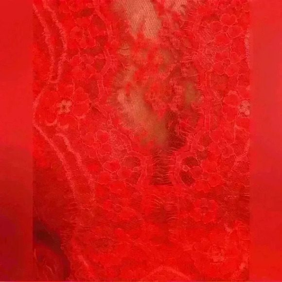 NWT Until We Meet Again Red Lace Embroidered Mini Dress Size Small - Picture 5 of 15